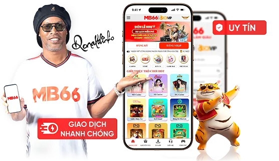 Hướng dẫn sử dụng mã VIP666