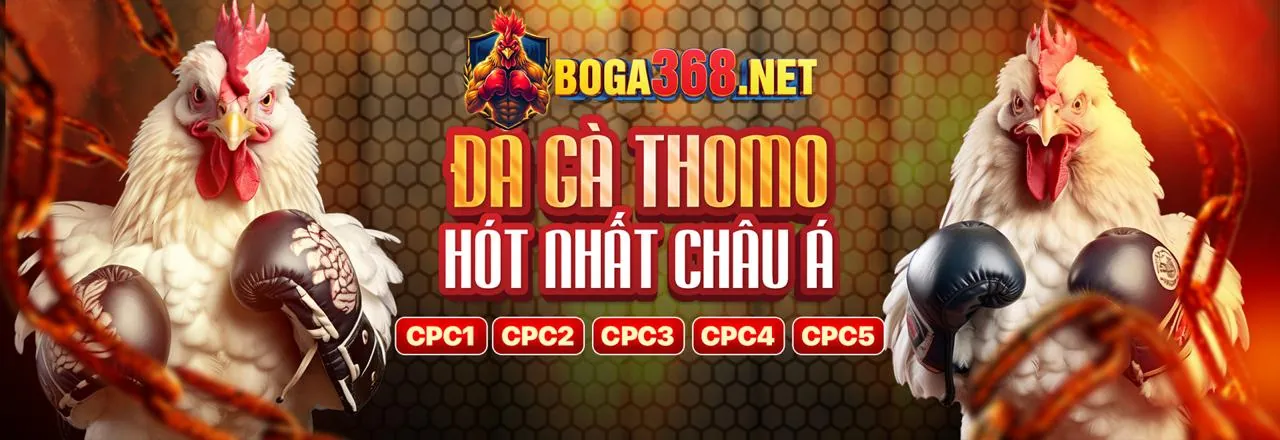 Sòng bạc trực tuyến VIP666 Code với các trò chơi hấp dẫn và ưu đãi 2026