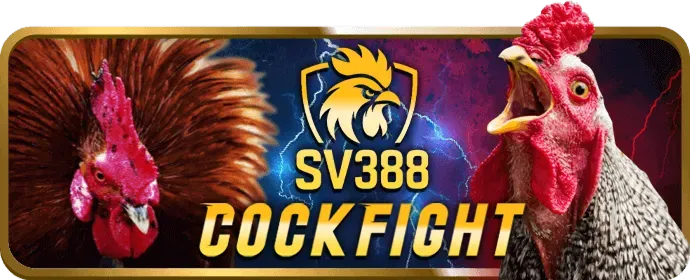 Ưu đãi đặc biệt và khuyến mãi độc quyền cho thành viên VIP666